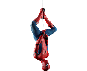 Lifesize Shop
