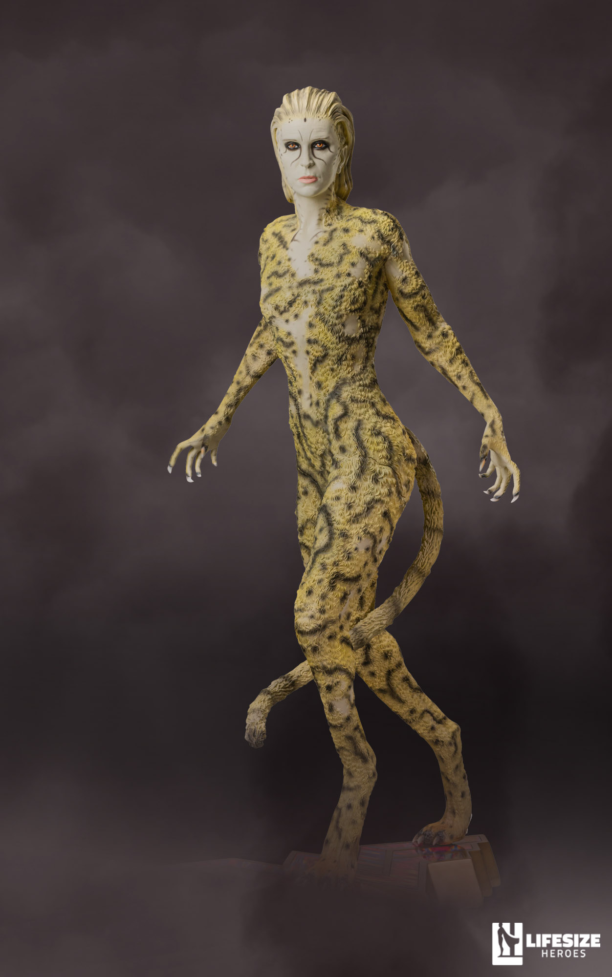 Cheetah Dc