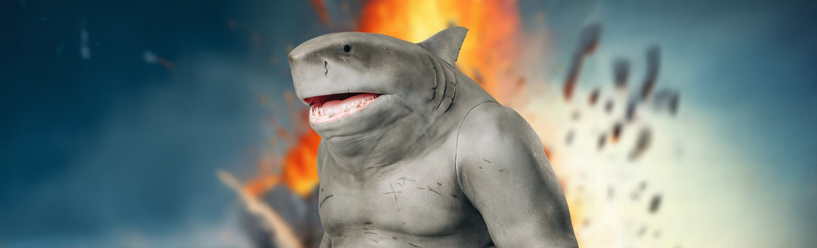 template/elemente/502/original/kingshark2.jpg