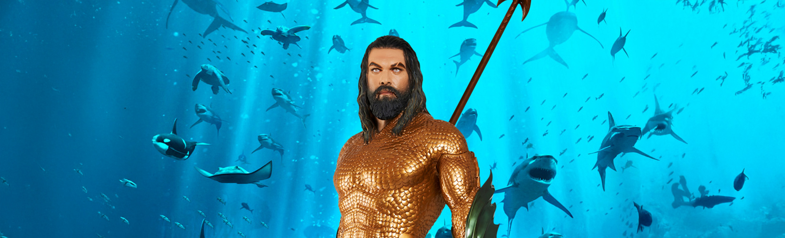 template/elemente/55/original/aquaman1.jpg